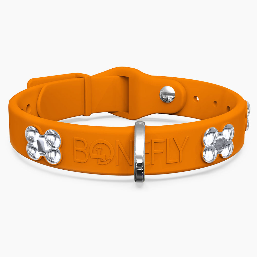 Boneflex Signature Silver Bones Collar