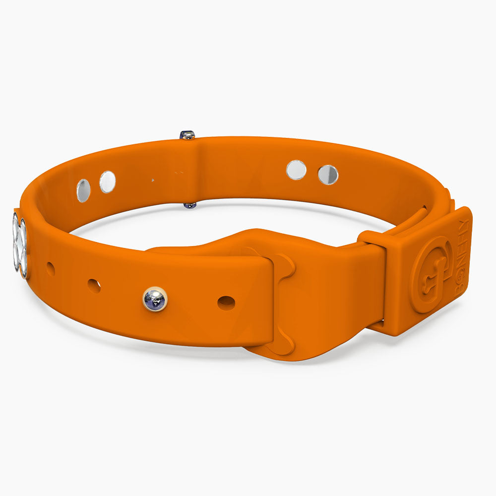 Boneflex Signature Silver Bones Collar