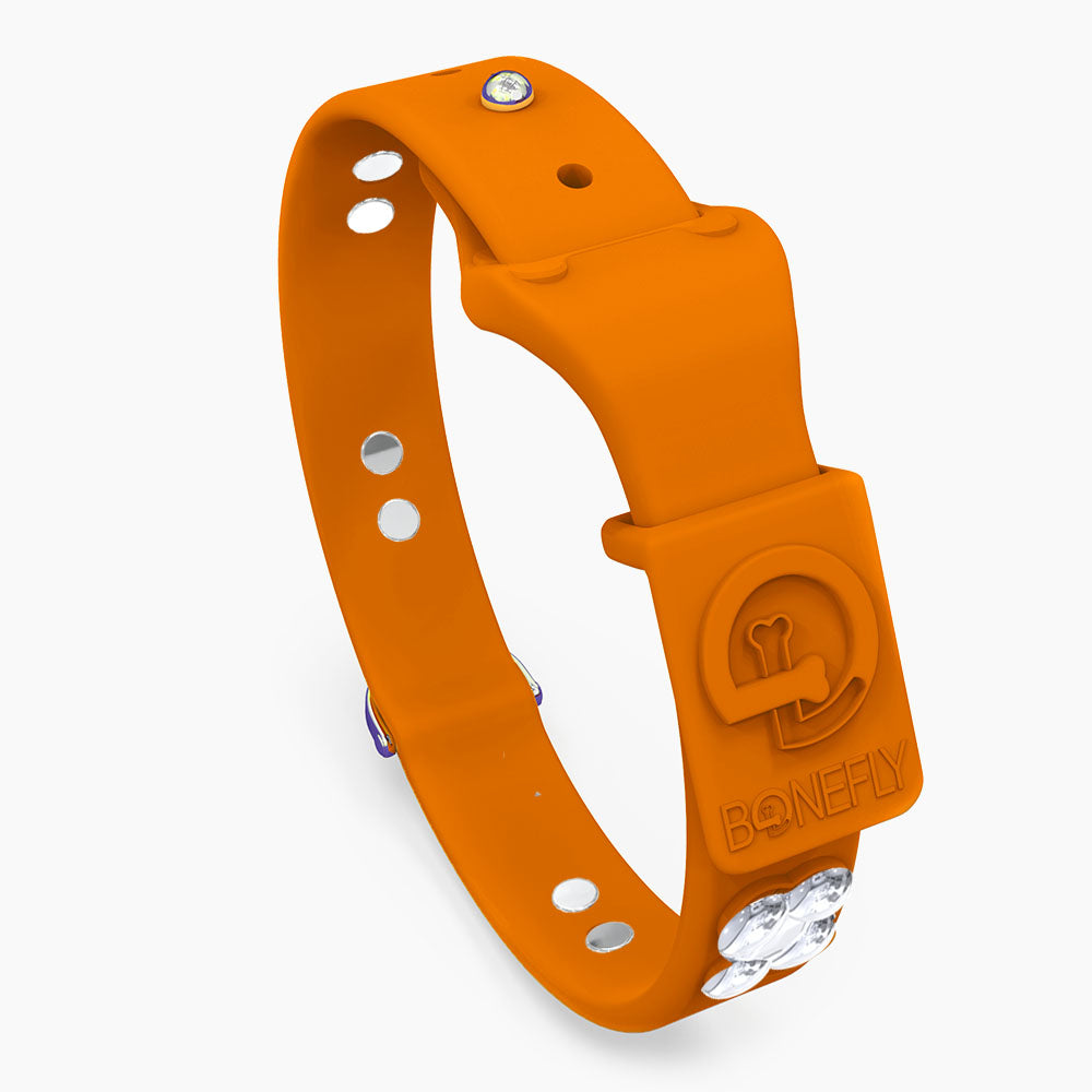 Boneflex Signature Silver Bones Collar