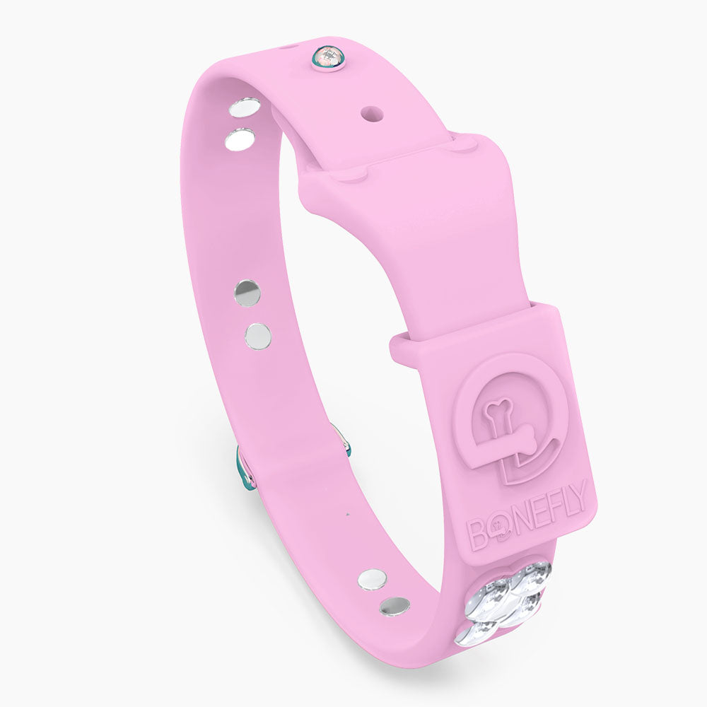Boneflex Signature Silver Bones Collar
