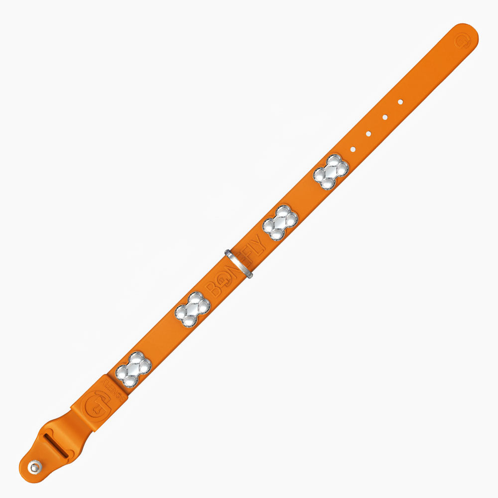 Boneflex Signature Silver Bones Collar