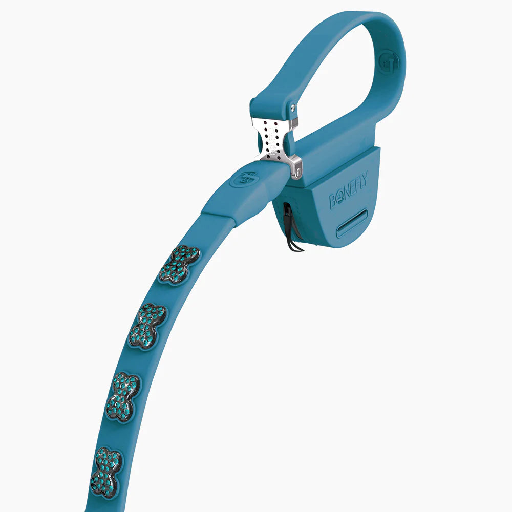 Correa Peacock Swarovski