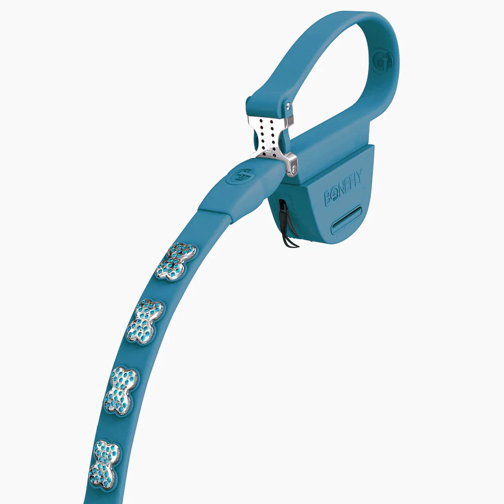Correa Peacock Swarovski