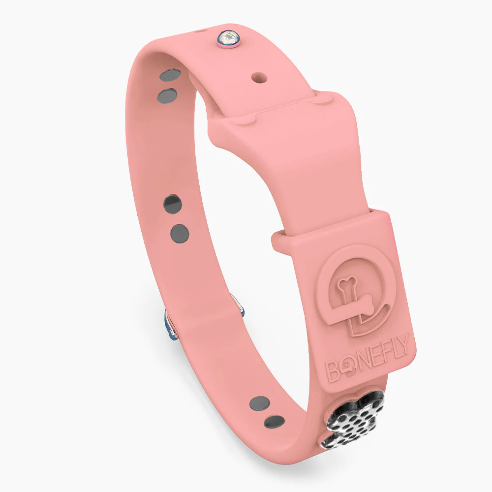 Ultra Powder Pink Swarovski Collar